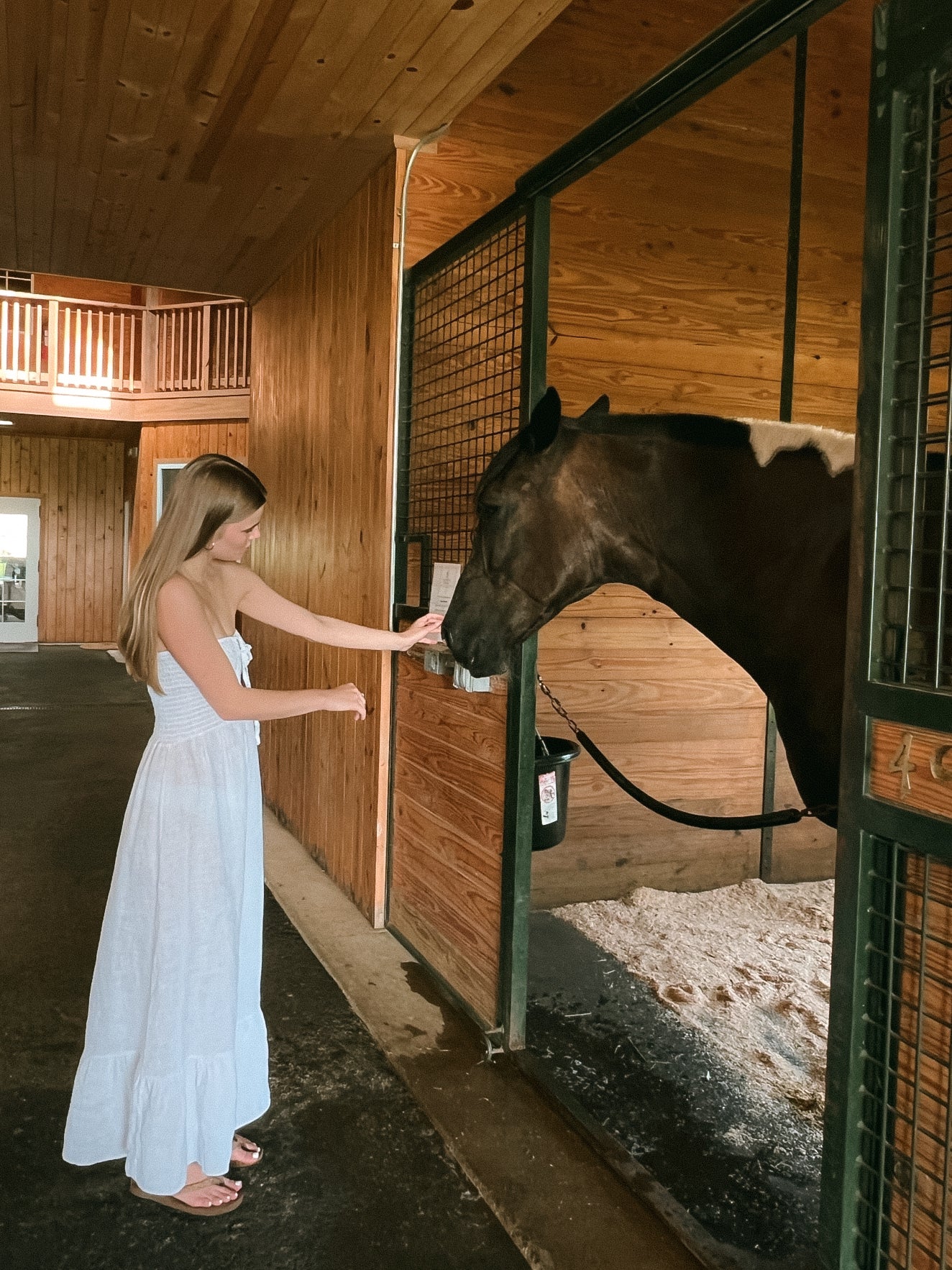 The Field Dress, Cloud